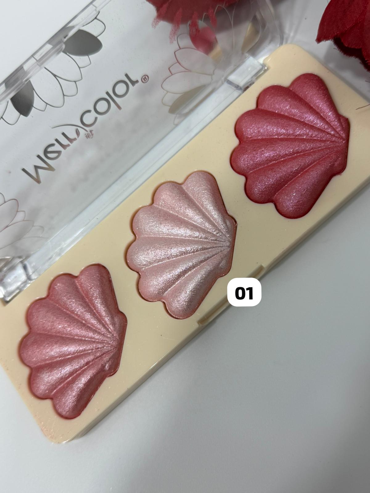 MERRY COLOR BLUSH CONCHIGLIA