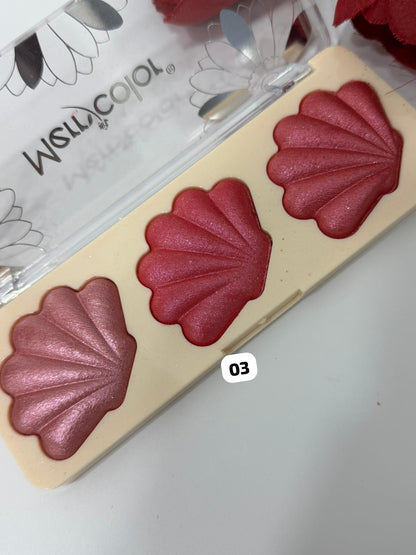 MERRY COLOR BLUSH CONCHIGLIA