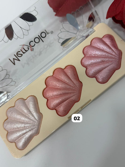 MERRY COLOR BLUSH CONCHIGLIA