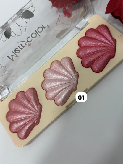 MERRY COLOR BLUSH CONCHIGLIA